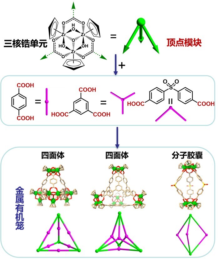 锆基配位分子笼